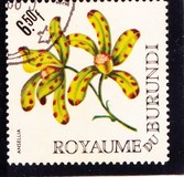 [Flowers, Tipo EW1]