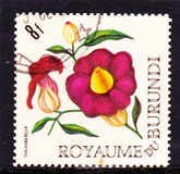 [Flowers, Tipo EX1]
