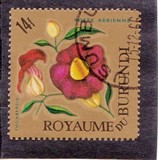 [Airmail - Flowers, type EX2]