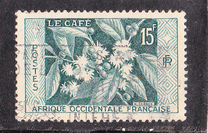 [Coffee Bush, tyyppi BH]