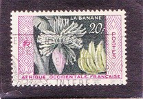 [Bananas, Tipo BT]