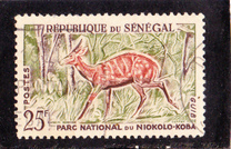 [Animals from the Niokolo-Koba National Park, type BY]
