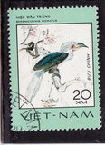 [Rare Birds, type AA]