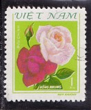 [Roses, tyyppi FZ]