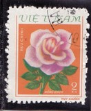 [Roses, tyyppi GA]