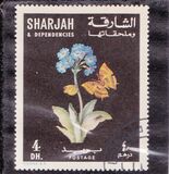 [Flowers and Butterflies, type KO]