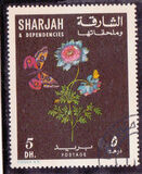 [Flowers and Butterflies, type KP]