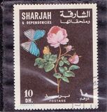 [Flowers and Butterflies, type KQ]