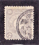 [Chrysanthemum, տեսակ AJ]