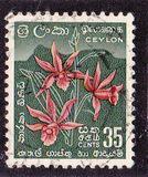 [Local Motifs, type CO]