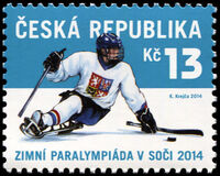 [Winter Paralympics - Sochi, Russia, Tipi ADH]