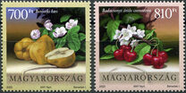 [Flora of Hungary - Fruits, type IDI]