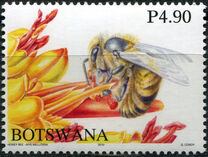 [Honey Bees of Botswana, type AHW]