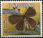 [Butterflies, type AGC]
