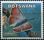 [Butterflies, type AGA]