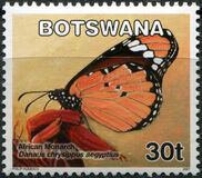 [Butterflies, type AFY]