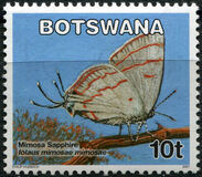 [Butterflies, type AFW]