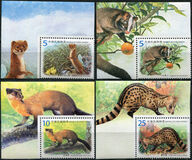[Fauna - Protected Mammal Species in Taiwan, type DQC]