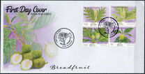 [Breadfruit - Artocarpus altilis, 类型 CHI]
