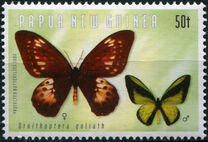 [Birdwing Butterflies, type AGT]