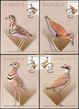 [Birds - Coursers, Tip AFI]