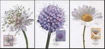 [Meadow Flowers, タイプ BRX]
