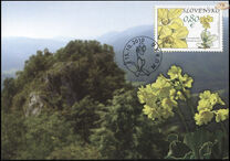 [Flowers from the Muranska Plain, type UN]