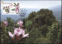 [Flowers from the Muranska Plain, type UO]