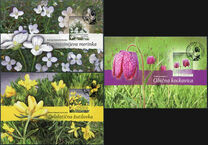 [Croatian Flora - Protected Species, Scrivi AYS]