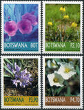 [Christmas - Flowers, type ADV]