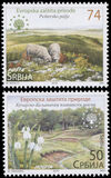 [European Nature Protection, Вид TU]