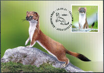 [Fauna - The Stoat, type BEG]