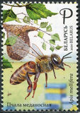 [Beekeeping in Belarus, Typ BBO]