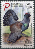 [Bird of the Year - Western Capercaillie, type BAG]