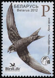 [Bird of the Year - Black Swift, type AFN]