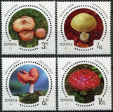 [Inedible Mushrooms, Вид LOI]
