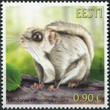 [Fauna - The Siberian Flying Squirrel, type BFO]