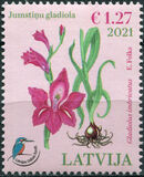 [Flowers - Shingled Gladiolus, प्रकार AHS]