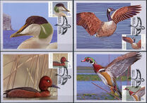 [Birds - Wild Ducks and Geese, type LPK]