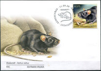 [Fauna - The Black Rat, type BDJ]