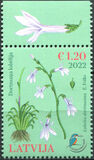 [Flora - Water Lobelia, type AIY]