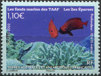 [The Seabed of TAAF, प्रकार AOL]