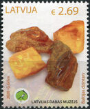 [Exhibits of Museum of Nature - Amber, type AGO]