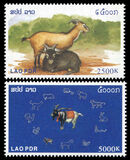 [Chinese New Year - Year of the Goat, 유형 BSR]
