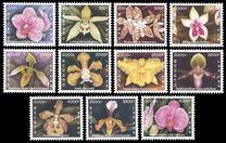 [Orchids, 유형 BST]