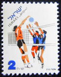 [Sport, type AXM]