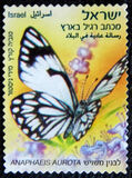 [Butterflies - 1,70 NIS, type CAE]