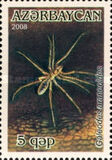 [Arachnids, Tipi YQ]