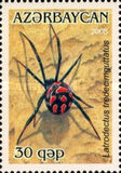 [Arachnids, Tüüp YT]