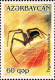 [Arachnids, Tüüp YV]